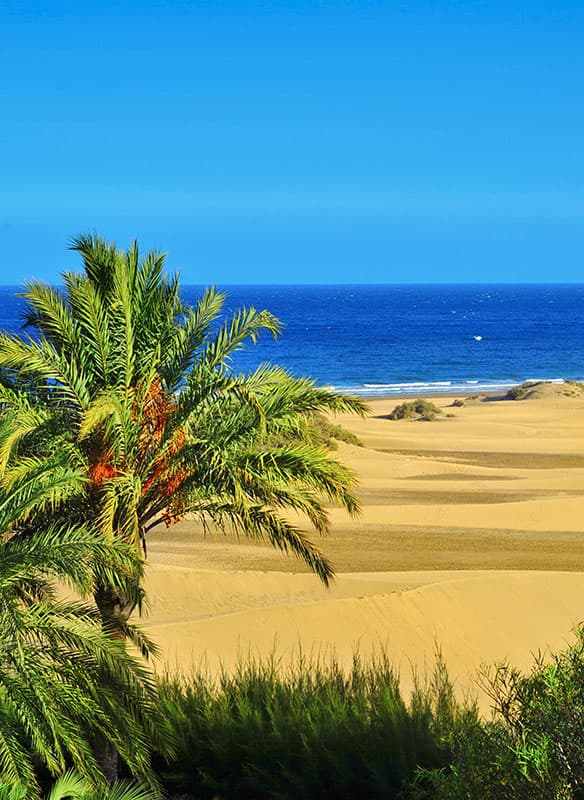 Canaries Escape with the Fleet Fiesta