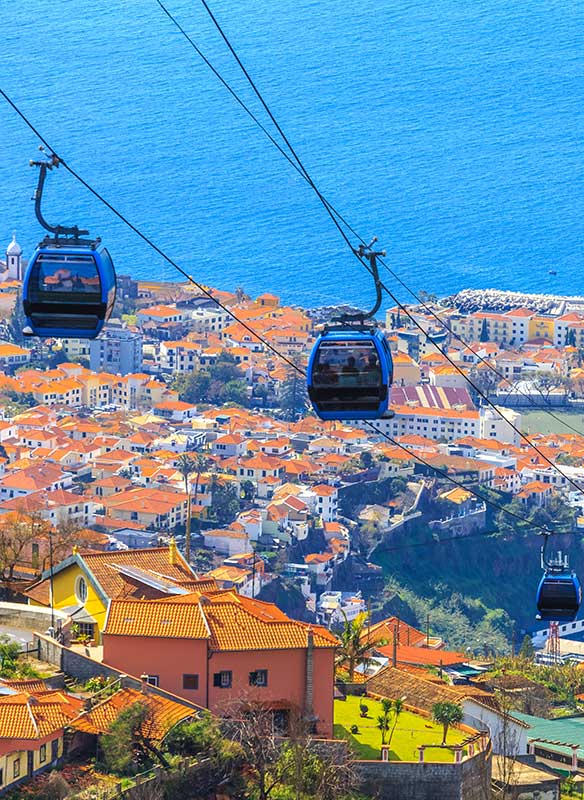 Canary Islands Christmas & New Year