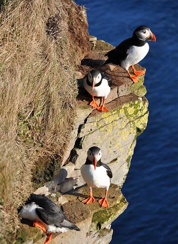 Remote Isles of Scotland