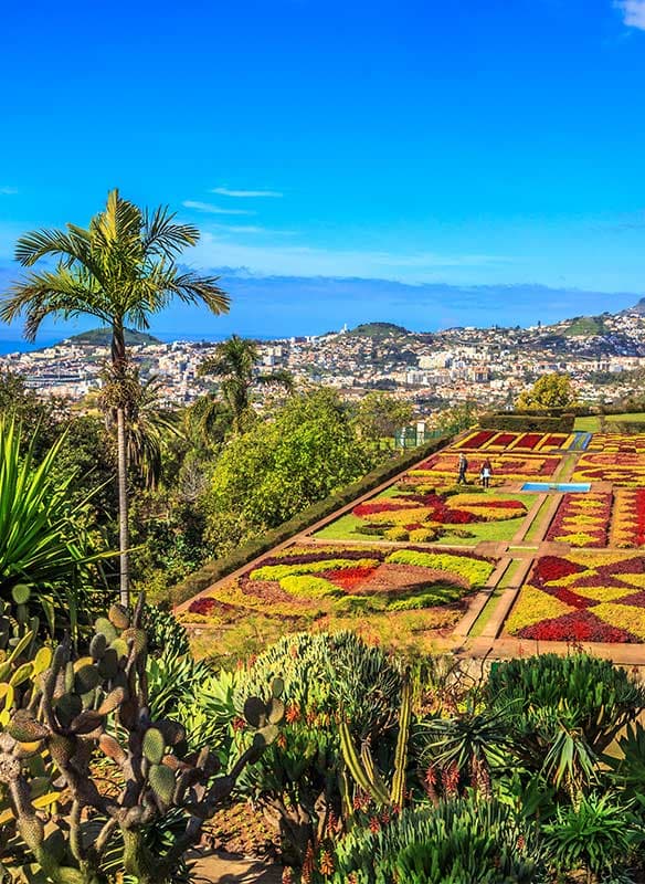 Canary Islands & Madeira Winter Warmth