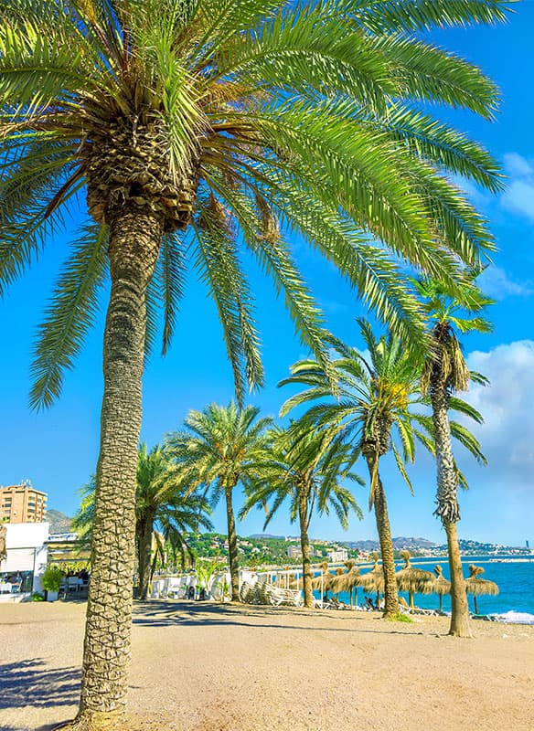 Sunlit Shores of Spain, Portugal & Gibraltar