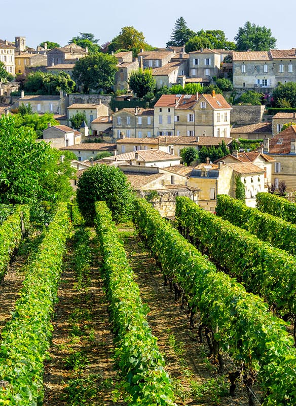 Vineyards & Harbours of France